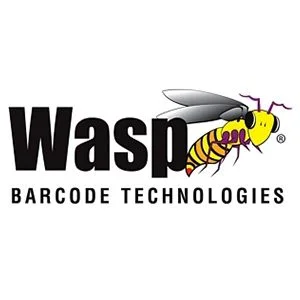 wasp